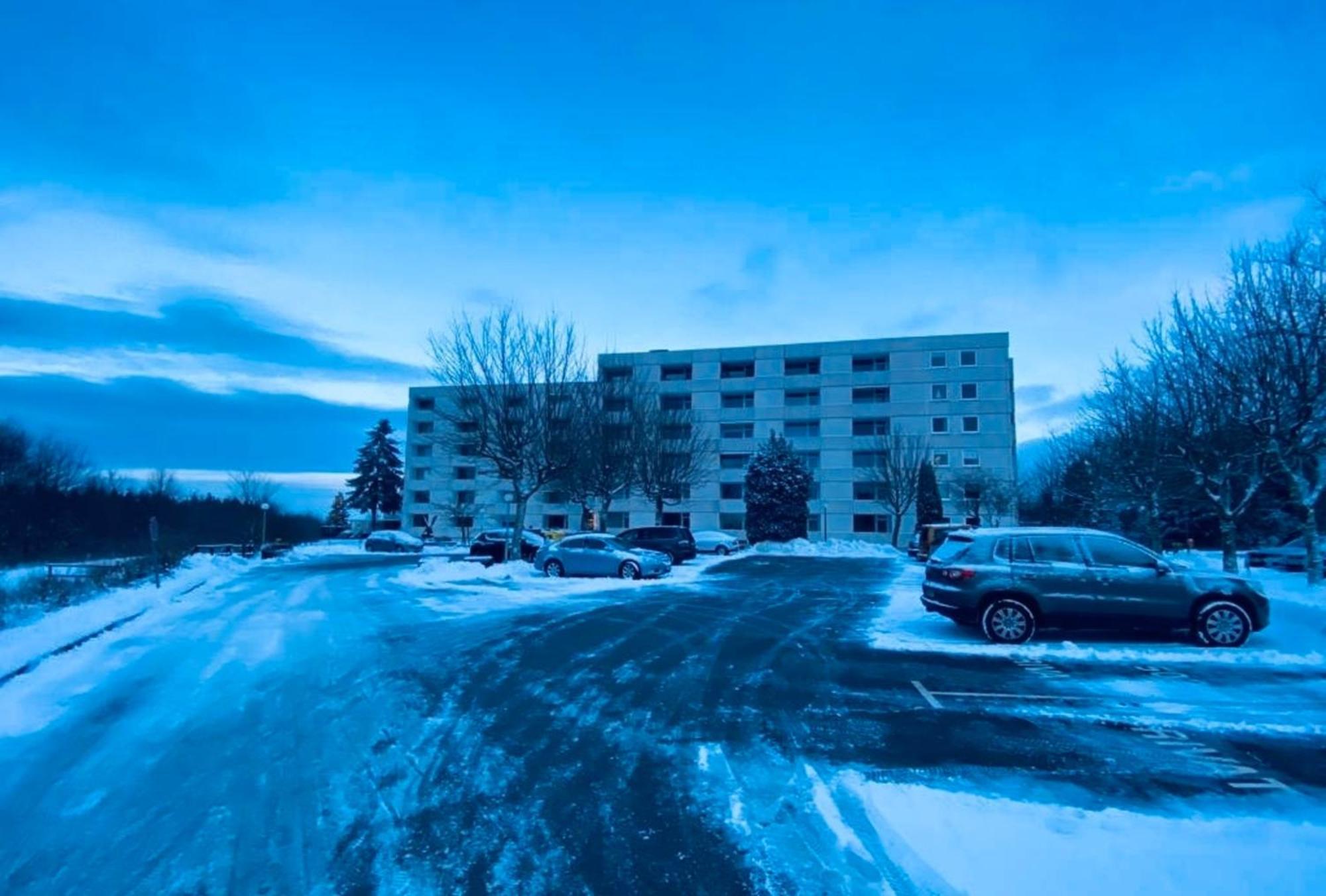 Hahnenklee Hills Daire Goslar Dış mekan fotoğraf