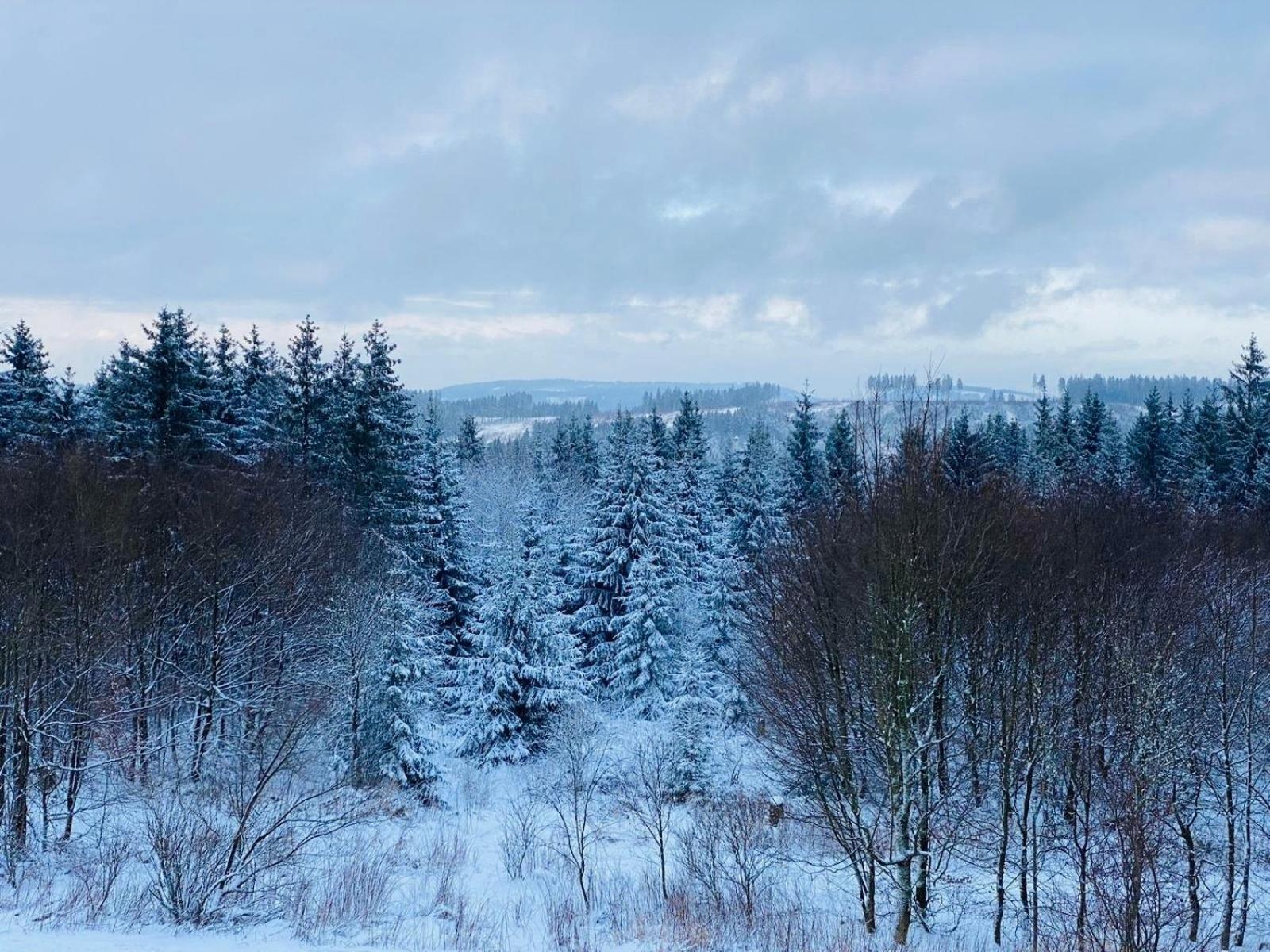 Hahnenklee Hills Daire Goslar Dış mekan fotoğraf